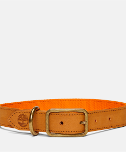 Timberland Men Accessories-Small Leather Dog Collar- TB0A2MRY231-timberland outlet