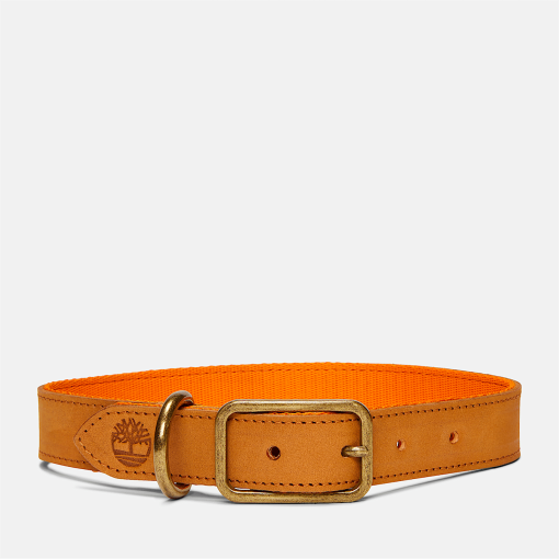 Timberland Men Accessories-Small Leather Dog Collar- TB0A2MRY231-timberland outlet