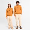 Timberland Featured Collections Timberland X American Eagle-Timberland x AE Graphic Hoodie- TB0A29G8433-timberland loafers 4