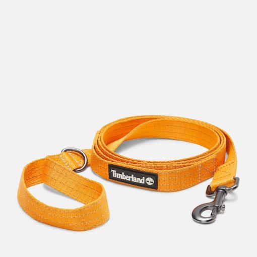 Timberland Accessories Gear-Webbed Grab Handle Dog Leash- TB0A5U52804-timberland boots near me